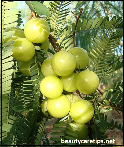 Blog post image